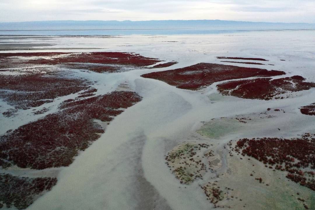 准噶尔盆地西部的艾比湖红海滩